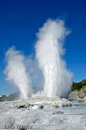 The Geysers