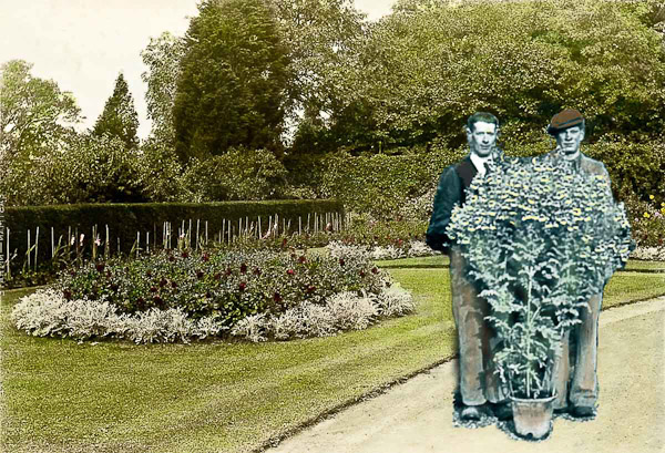 The gardeners in situ