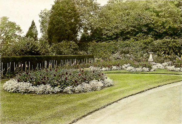 The Lawn