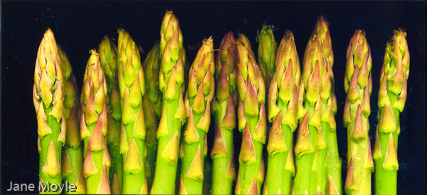 Asparagus Tips
