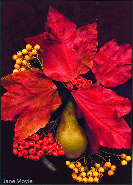 Vase of Leaves
