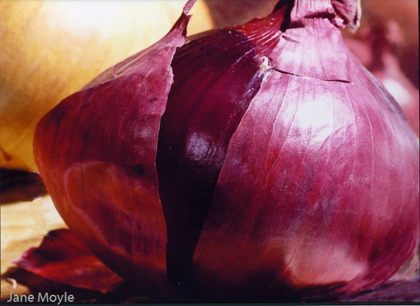 Red Onion