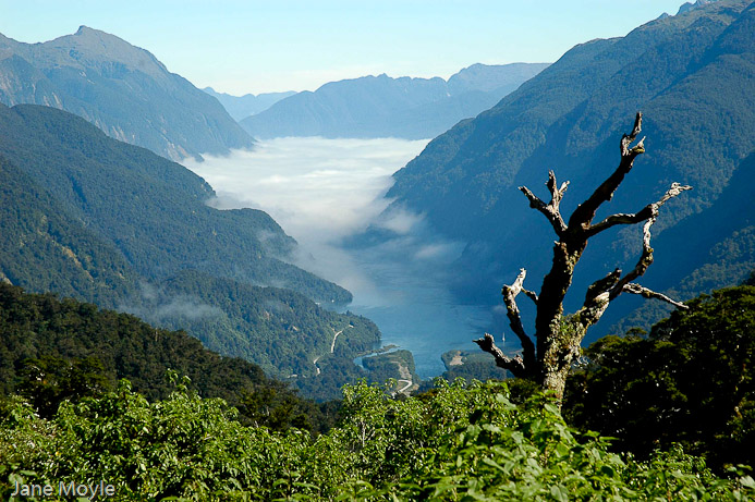 Clouded Fjord