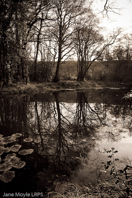 Above the Lake