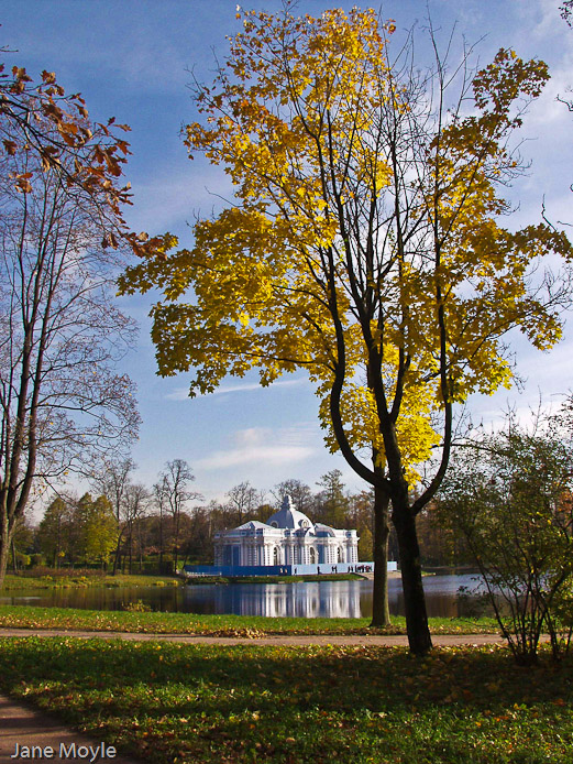 St. Petersburg Tree
